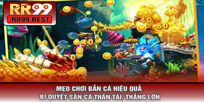 Mẹo Chơi Bắn Cá Hiệu Quả – Bí Quyết Săn Cá Thần Tài, Thắng Lớn